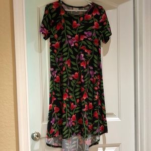 LulaRoe Carly dress